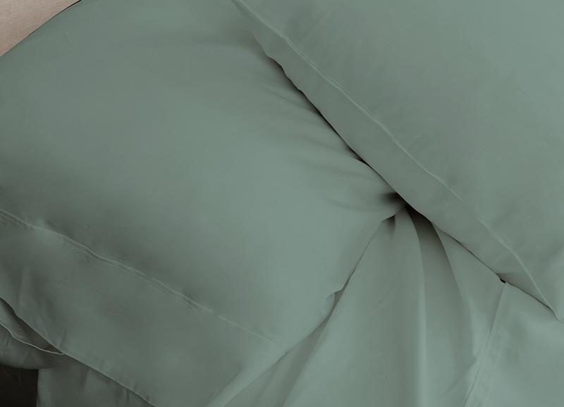 Taies d'oreiller Arctic Aire•MAX - Roses 