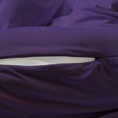 #choose-your-color_royal-plum